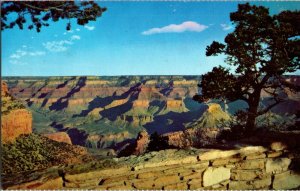Grand Canyon National Park Arizona 1960s Vintage Postcard Stone Wall Trees