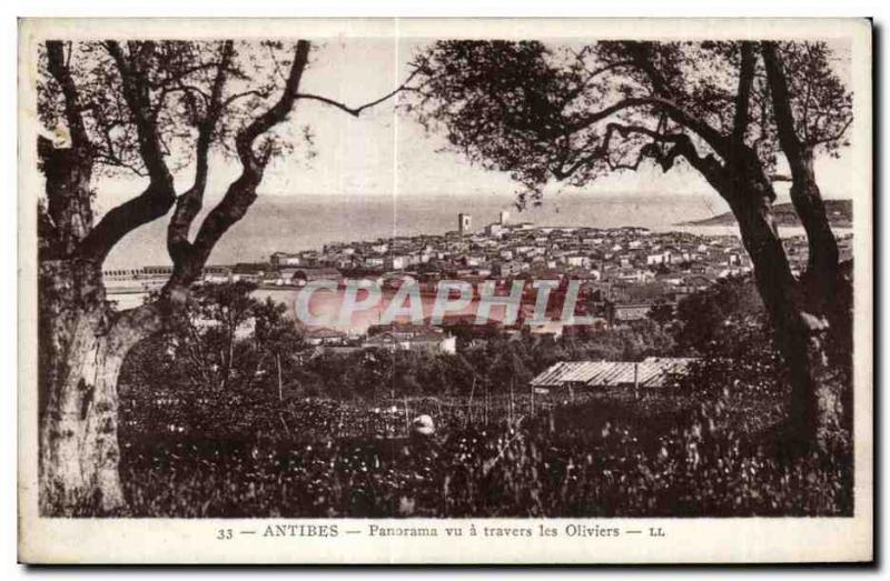 Old Postcard Antibes Panorama seen through the olive trees