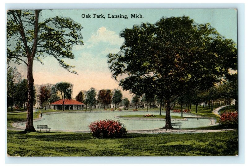 Oak Park Lansing Michigan 1916 Albion Vintage Rare View Antique Postcard 