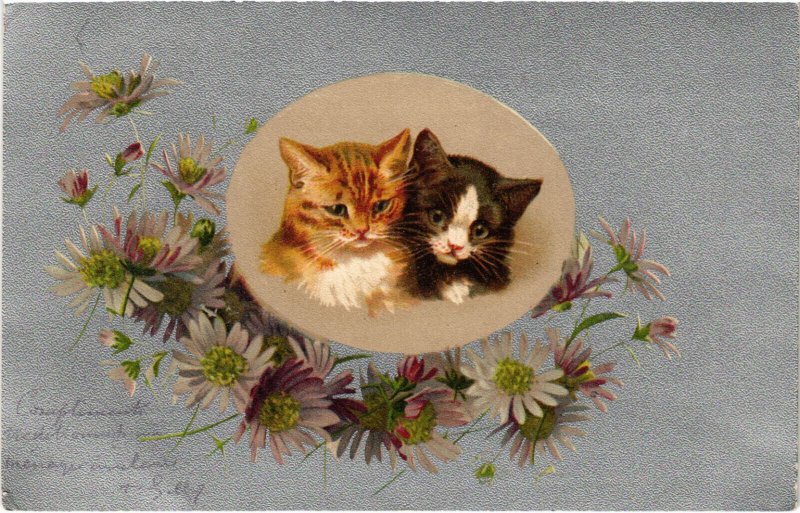 PC CATS, TWO CATS WITH FLOWERS, Vintage Postcard (b46837)