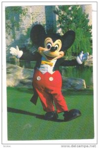 Mickey Mouse, Walt Disney World, Orlando, Florida, 40-60s