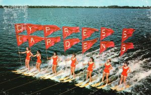 Vintage Postcard 1977 Beauty Of Parade Aquaguards Cypress Gardens Ski Florida FL
