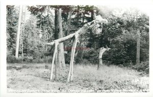 WA, Whidbey Island, Washington, Pens Cove, Wooden Giraffe, RPPC