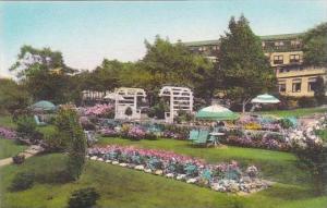 Maine Ogunquit Terrace Garden The Lookout  Albertype