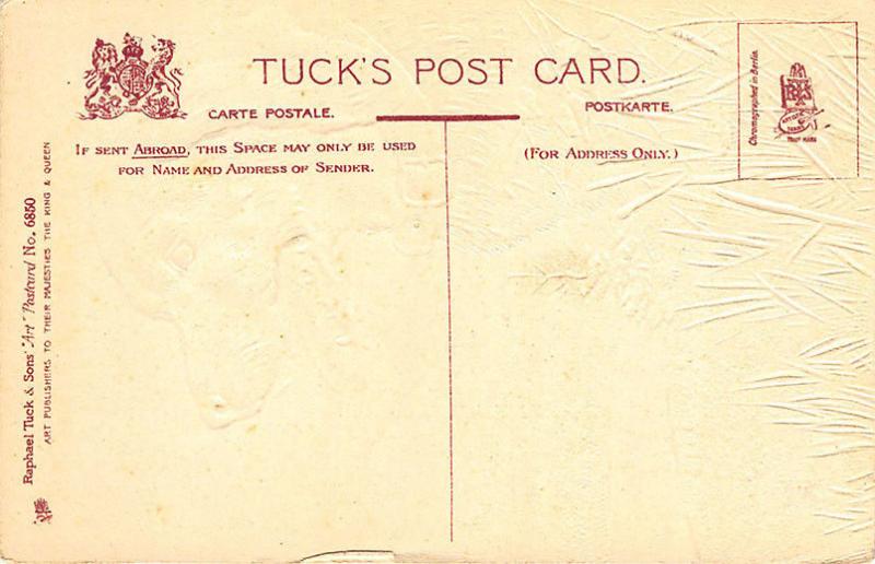 Raphael Tuck Dog in The Wild Art Embossed Postcard