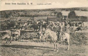 Postcard Canada Canadian NW Cowboys & Cattle Illustrated undivided 23-2004