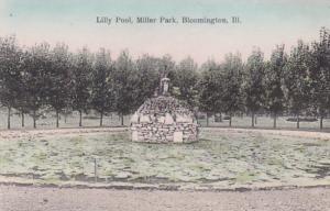 Illinois Bloomington Lilly Pool In Miller Park