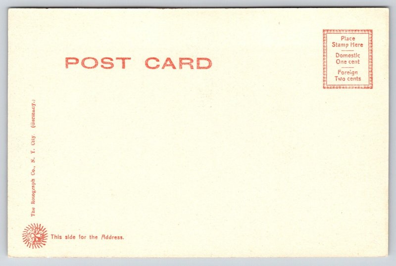 Bushkill Pennsylvania~Peters House~1906 B&W Rotograph Postcard