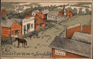 Loup City Nebraska NE Bird's Eye View Illustrated Comic c1910 Vintage Postcard