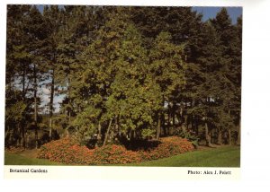 Royal Botanial Gardens, Hamilton, Ontario