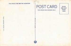 LPS58 Lakeside Ohio OH Postcard Auditorium