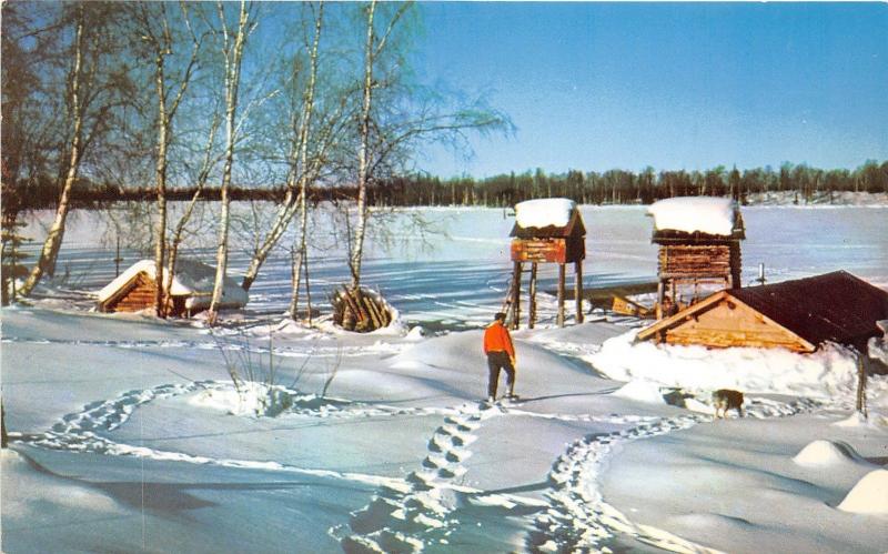 Alaska~Trapper's Camp on Frozen Sucker Lake~Man w Snowshoes~Dog~c1960s Postcard