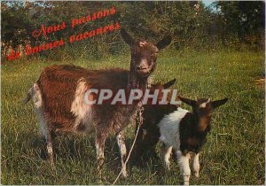 Modern Postcard Let Us Great vacation Chevre