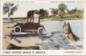 Cold Lake Alberta AB Camping Exaggerated Fish Hoolahan Advertising Postcard H58