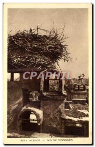 Alsace - Storks Nest - Old Postcard