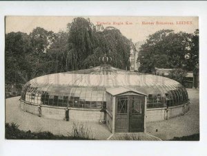 286970 NETHERLANDS LEIDEN victoria Regia Kas Hortus Botanicus Vintage postcard