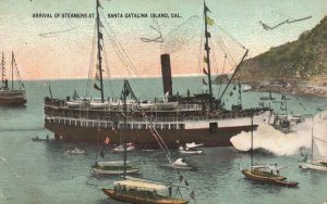 Vintage Postcard 1910's Arrival of Steamer Ship at Santa Catalina Island Calif.