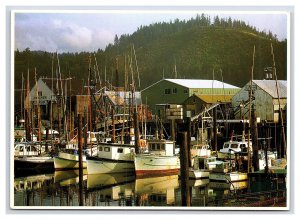 Garibaldi Harbor Tillamook Bay Oregon Postcard Continental View Card Boats