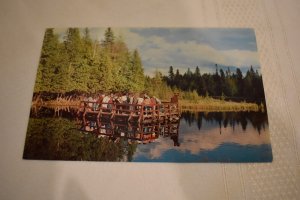 Kitch-iti-ki-pi Spring Upper Peninsula Michigan Postcard 1959 L. L. Cook Co.