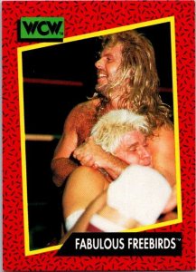 1991 WCW WRestling Card Fabulous Freebirds sk21191