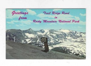 1950's Greetings from Trail Ridge Road, Rocky Mountain National Park, Postcard