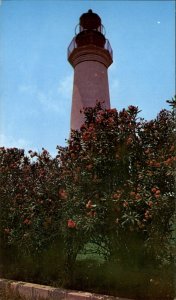 Port Isabel Texas Lighthouse So Padre Isl Gulf Coast c1950-60s Vintage Postcard