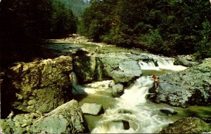 Fishing Scene Along MacKenzie River Cascades Oregon