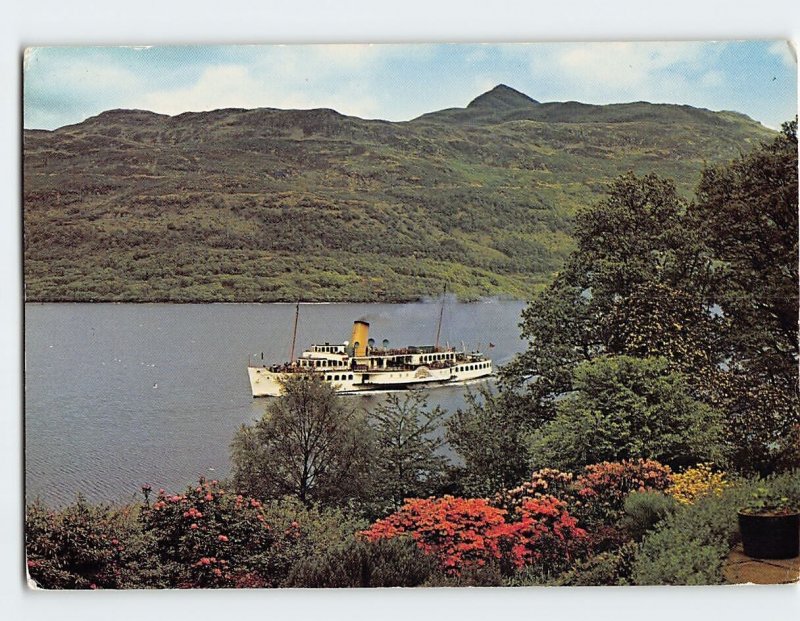 Postcard Maid of the Loch arriving at Tarbet Loch Lomond Tarbet Scotland