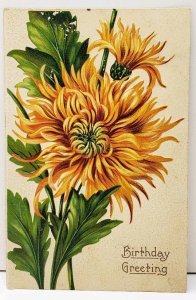 Pretty Chrysanthemums Birthday 1911 Watersville Carrol Co Md Postcard E9