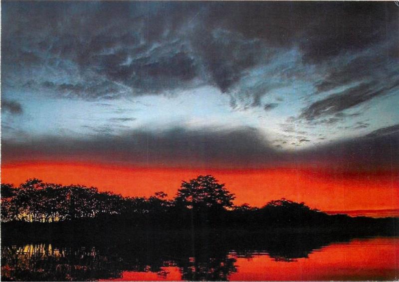 Amazon Forest Brazil sunset card 2scans