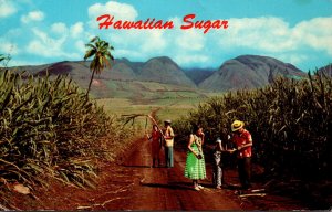 Hawaii Typical Sugar Cane Field 1970