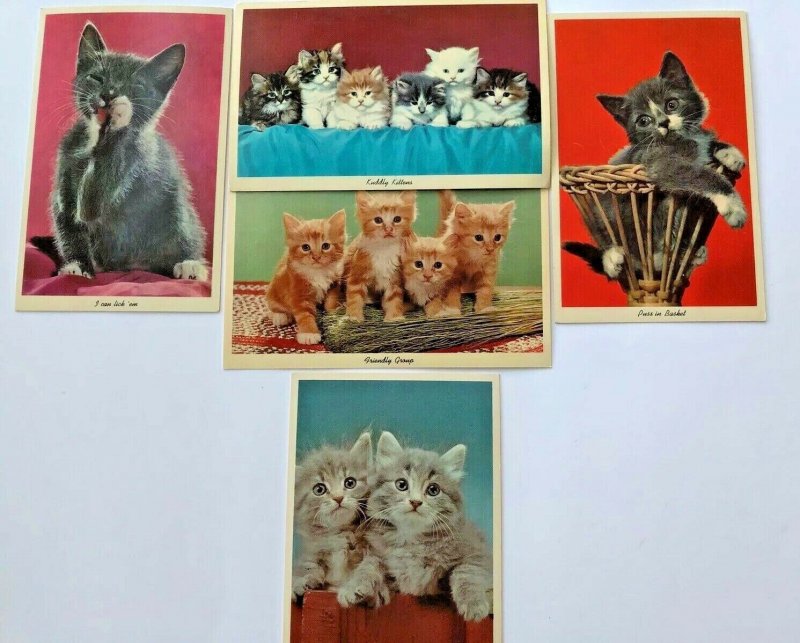 Vintage 50s Kittens Licking Paw Basket Novelty Cat Postcard Lot CurteichColor