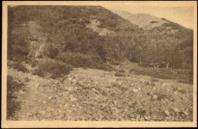 iceland, þórðarstaðarskógur, Panorama (1910s)