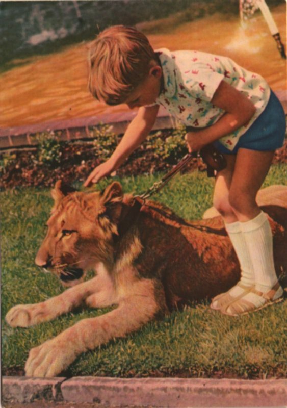 Animals & kids postcard: Me an' My Lion