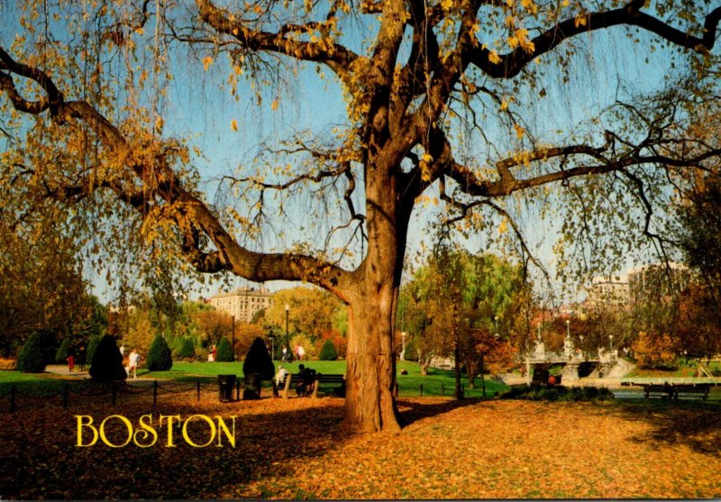 Massachusetts Boston Public Garden In Autumn