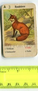 428095 GERMANY school FOX Vintage ADVERTISING card