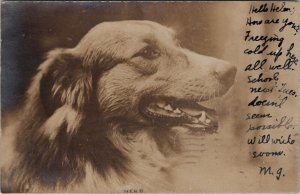 RPPC Collie Type Dog Nero Side Profile 1906 to Hampton VA Postcard B29