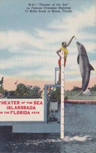 Florida Keys Jumping Porpoise At Thetare Of The Sea At Islamorada Curteich