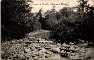 View of Roaring Brook, Petersham MA c1910 Vintage Postcard R65