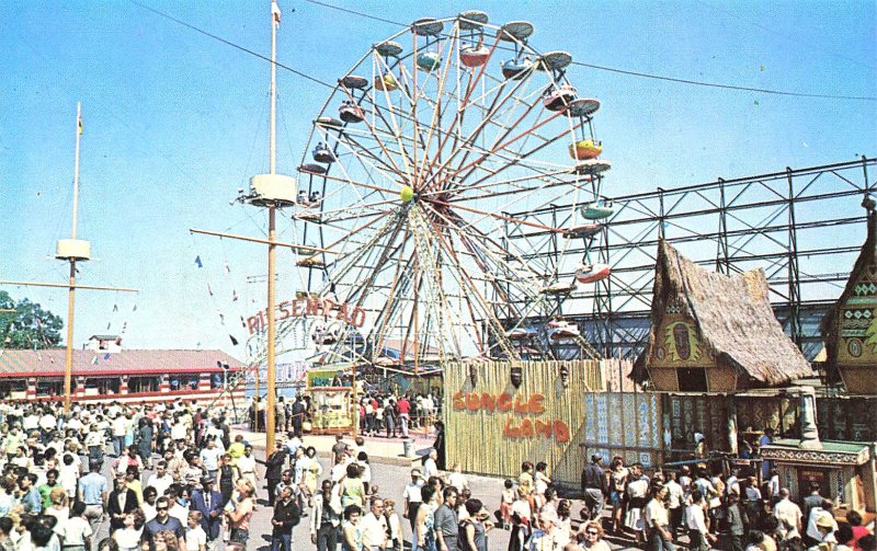 Palisades Park NJ Amusement Park Worlds Only Giant Wheel & Jungleland Postcard