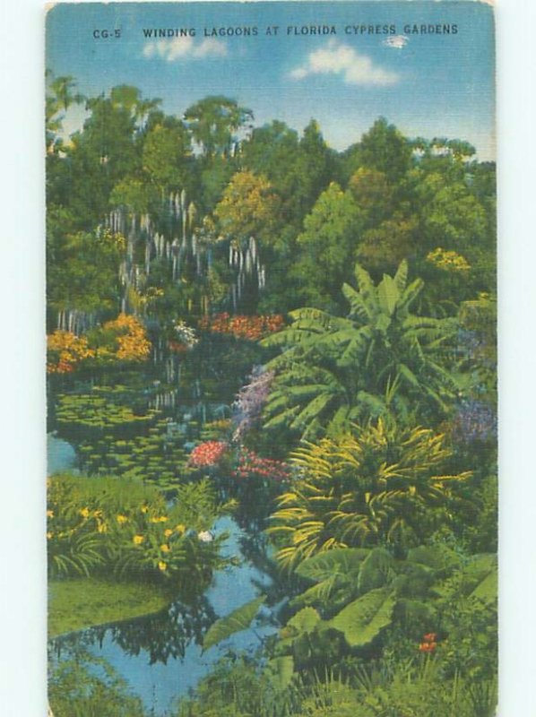 Linen CYPRESS GARDENS SCENE Winter Haven - Near Lakeland & Lake Wales FL AF6199