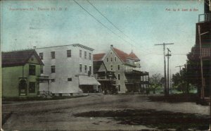 Bemus Pt. Point NY Jamestown St. c1910 Postcard