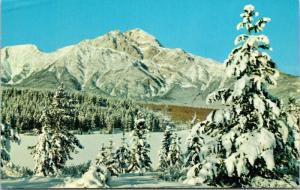 Pyramid Mountain Jasper National Park AB Alberta Winter Unused Postcard D69