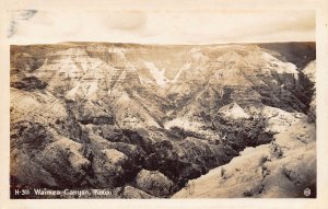 Waimea Canyon Kauai Hawaii 1950s Real Photo RPPC postcard