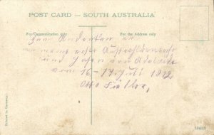 australia, SA, ADELAIDE, Port River, Steamer (1912) Postcard