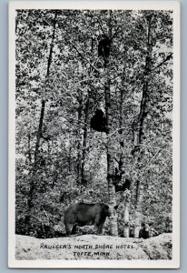 Kruegers North Shore Hotel Tofte Minnesota MN Bear RPPC Photo Postcard