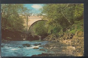 Co Durham Postcard - Abbey Bridge, River Tees, Barnard Castle    RS19891