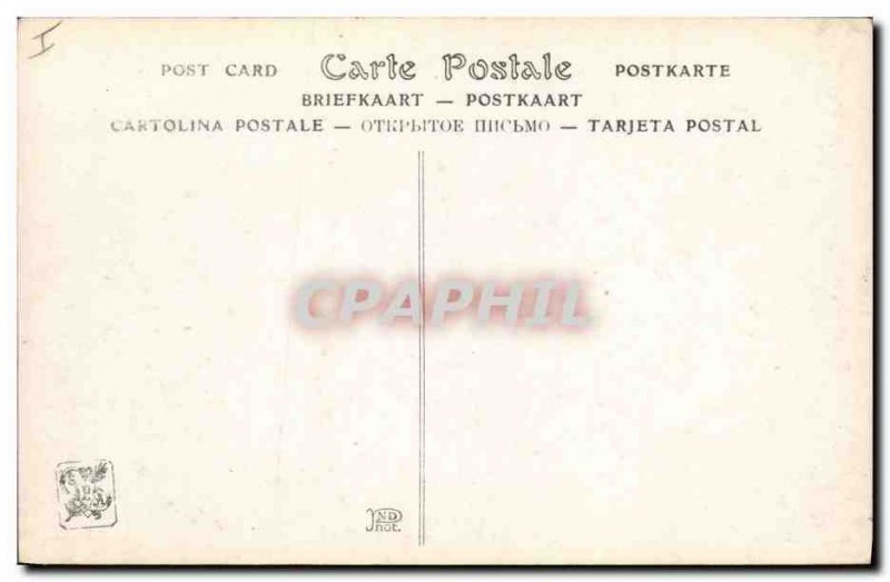 Old Postcard Cat Cats Kitten J Roy at rest