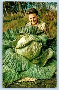 Palmer Alaska AL Postcard Cabbage Fertile Matanuska Valley 1963 Vintage Antique