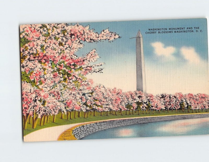 Postcard Washington Monument And The Cherry Blossoms, Washington, D. C.